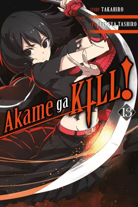 Akame ga KILL!&#44; Volume 13 (Akame ga KILL! #61-66)