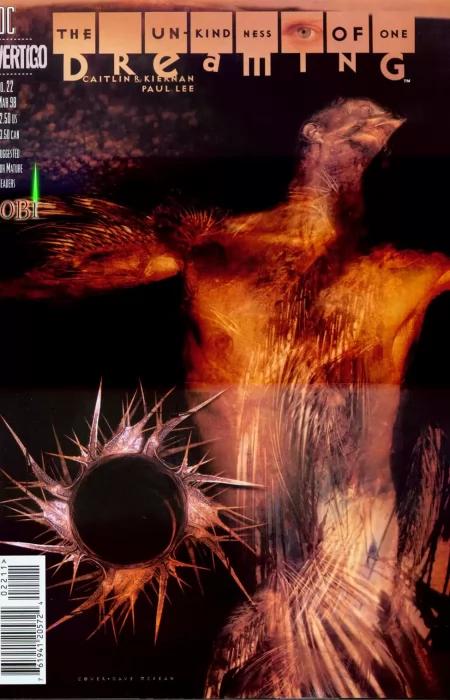 The Dreaming (The Dreaming #22)