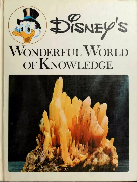 Disney's Wonderful World of Knowledge: Treasures of the Earth (Disney's Wonderful World of Knowledge #8)