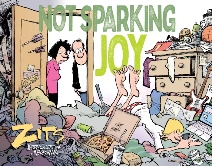 Not Sparking Joy: A Zits Treasury (Zits)