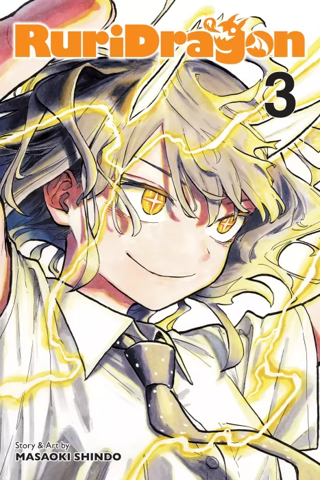 RuriDragon, Volume 3 (RuriDragon #16-24)