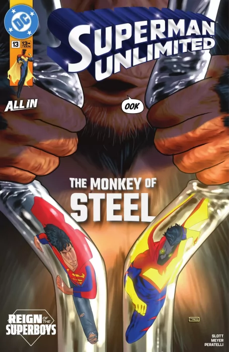 Superman Unlimited (Superman Unlimited #13)