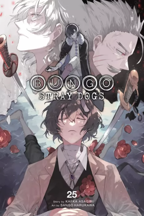 Bungo Stray Dogs, Volume 25 (Bungo Stray Dogs #110-114)